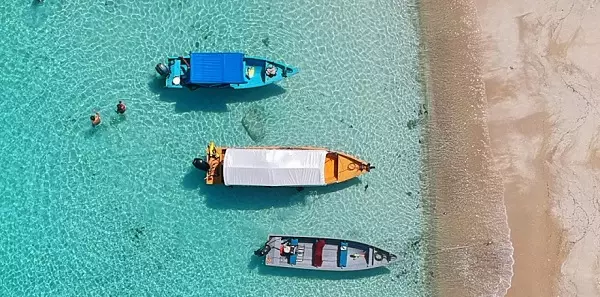 تور دور آسیا ژانویه 2026